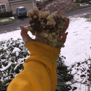 Meet your Posher, Anahid